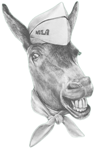 TACOS MULA